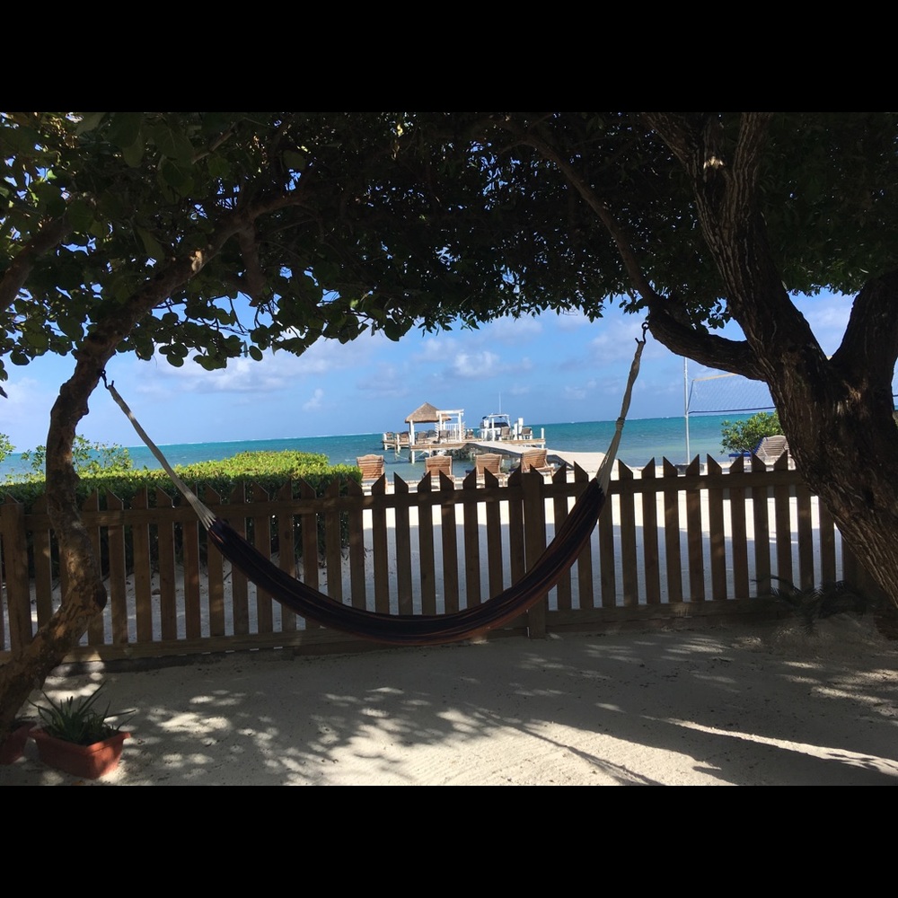 Meet your Posher, Jill